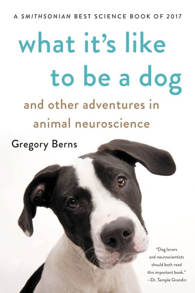 Produktbild: What It's Like to Be a Dog