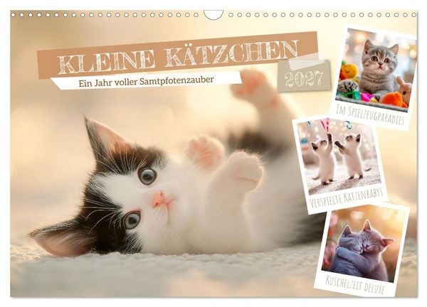 Produktbild: Kleine K&auml;tzchen - Ein Jahr voller Samtpfotenzauber (Wandkalender 2027 DIN A3 quer), CALVENDO Monatskalender