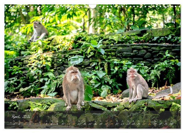 Produktbild: Bali Dreams - Inselzauber in Indonesien (Wandkalender 2026 DIN A3 quer), CALVENDO Monatskalender