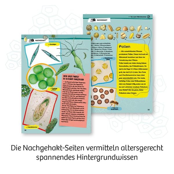 Produktbild: Entdecker-Mikroskop