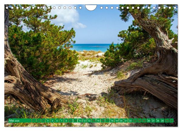 Produktbild: Sardinien Insel mit Meerblick (Wandkalender 2026 DIN A4 quer), CALVENDO Monatskalender