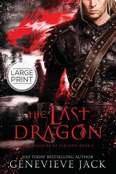 Produktbild: The Last Dragon