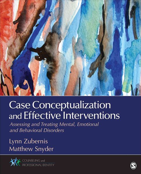 Produktbild: Case Conceptualization and Effective Interventions