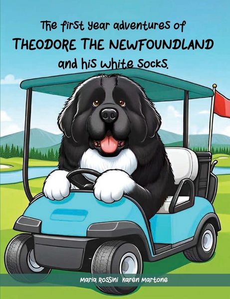 Produktbild: The First Year Adventures Of Theodore The Newfoundland And His White Socks