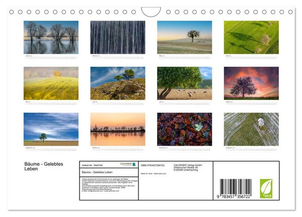 Produktbild: B&auml;ume - Gelebtes Leben (Wandkalender 2026 DIN A4 quer), CALVENDO Monatskalender