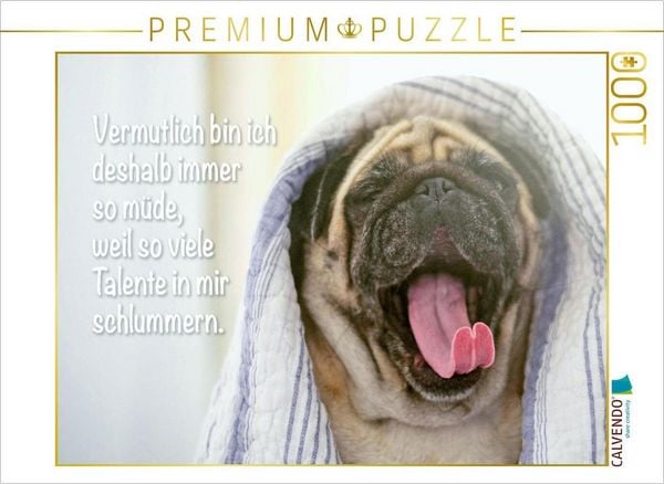 CALVENDO Puzzle Mops gähnt ausgiebig mit herausgestreckter Zunge | 1000 Teile Lege-Größe 64x48cm Foto-Puzzle für glückliche Stunden