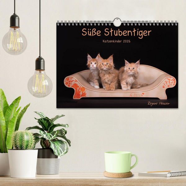 Produktbild: S&uuml;&szlig;e Stubentiger - Katzenkinder (Wandkalender 2026 DIN A4 quer), CALVENDO Monatskalender