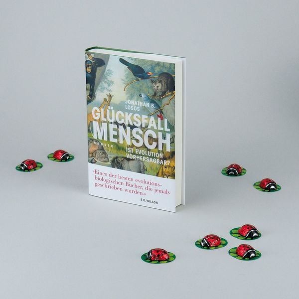 Produktbild: Gl&uuml;cksfall Mensch