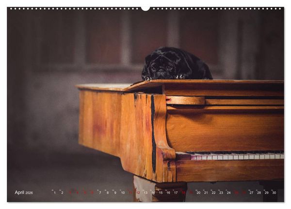 Produktbild: Diesels Welt (Wandkalender 2026 DIN A2 quer), CALVENDO Monatskalender