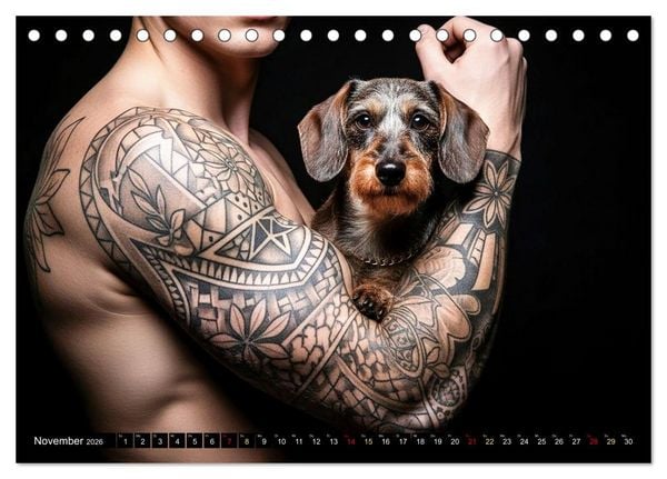Produktbild: Coole Typen - Rauhaardackel (Tischkalender 2026 DIN A5 quer), CALVENDO Monatskalender