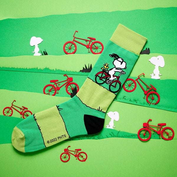 Snoopy Socken Bike, 42-46