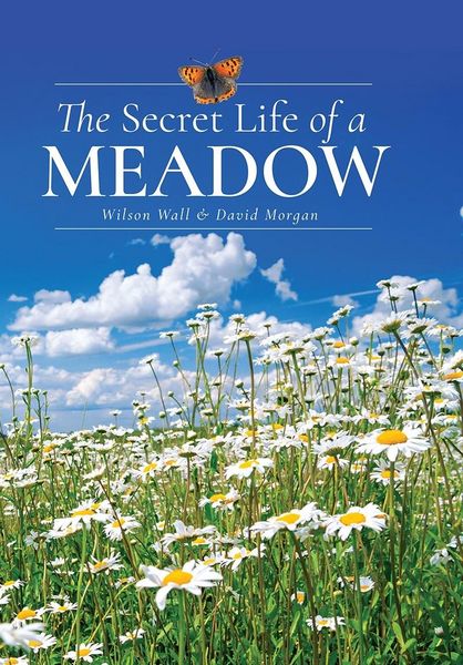 Produktbild: Secret Life of a Meadow