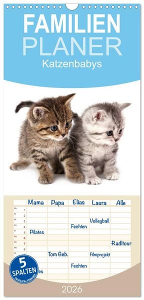 Produktbild: Familienplaner 2026 - Katzenbabys mit 5 Spalten (Wandkalender, 21 x 45 cm) CALVENDO