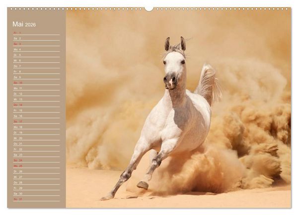 Produktbild: Pferde. Araber im W&uuml;stensand (Wandkalender 2026 DIN A2 quer), CALVENDO Monatskalender