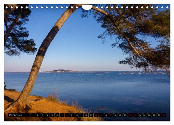Produktbild: R&ecirc;veries en M&eacute;diterran&eacute;e (Calendrier mural 2026 DIN A4 vertical), CALVENDO calendrier mensuel