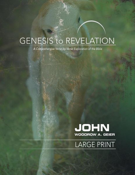 Produktbild: Genesis to Revelation: John Participant Book