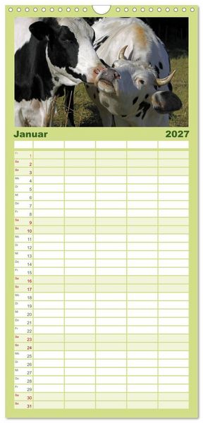 Produktbild: Familienplaner 2027 - Muuuhhh! mit 5 Spalten (Wandkalender, 21 x 45 cm) CALVENDO