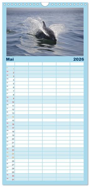 Produktbild: Familienplaner 2026 - Delfine - L&auml;chelnde Intelligenz mit 5 Spalten (Wandkalender, 21 x 45 cm) CALVENDO