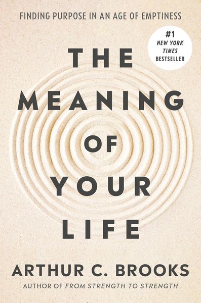 Produktbild: The Meaning of Your Life