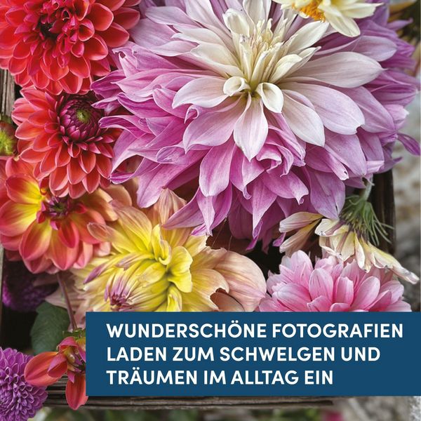 Produktbild: Jeanne d'Arc Living: Buchkalender 2027
