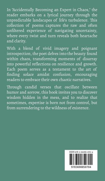 Produktbild: Accidentally Becoming an Expert in Chaos