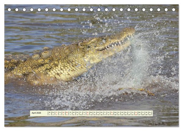 Produktbild: Reptilien des s&uuml;dlichen Afrikas (Tischkalender 2026 DIN A5 quer), CALVENDO Monatskalender