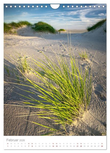 Produktbild: Amrum - Das Gesicht der Nordsee (Wandkalender 2026 DIN A4 hoch), CALVENDO Monatskalender