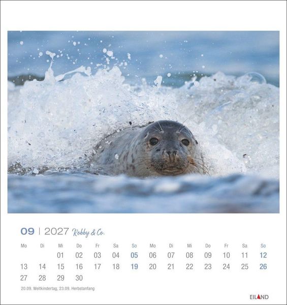 Produktbild: Robby & Co. Postkartenkalender 2027