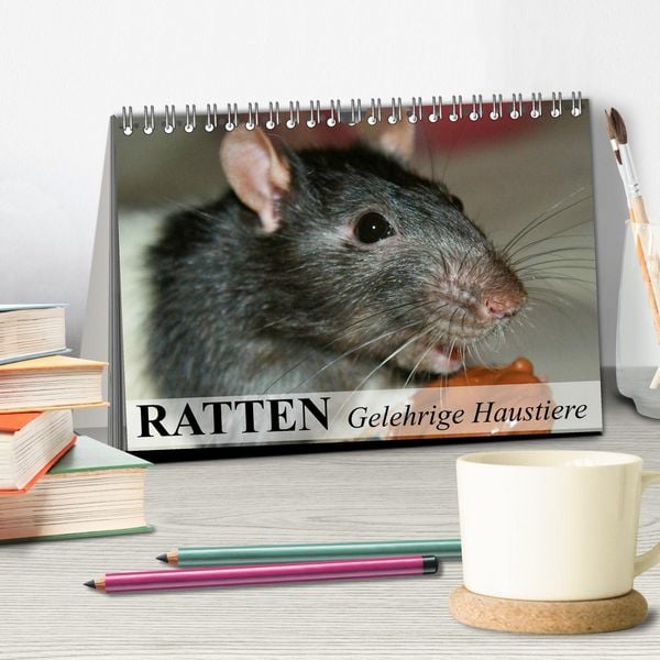 Produktbild: Ratten - Gelehrige Haustiere (Tischkalender 2026 DIN A5 quer), CALVENDO Monatskalender