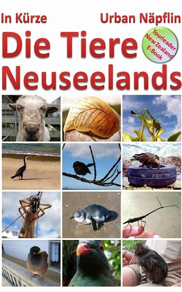 Produktbild: Die Tiere Neuseelands in K&uuml;rze