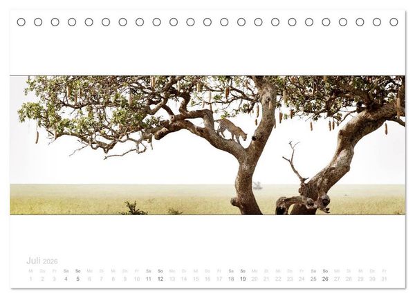 Produktbild: Serengeti Panorama (Tischkalender 2026 DIN A5 quer), CALVENDO Monatskalender