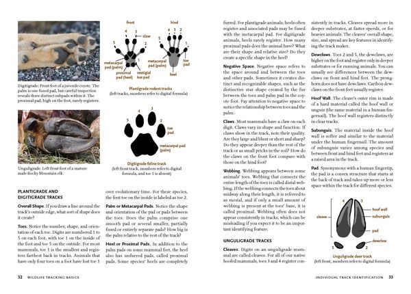 Produktbild: Wildlife of the Pacific Northwest