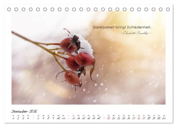 Produktbild: Mit guten Gedanken durch das Jahr (Tischkalender 2026 DIN A5 quer), CALVENDO Monatskalender