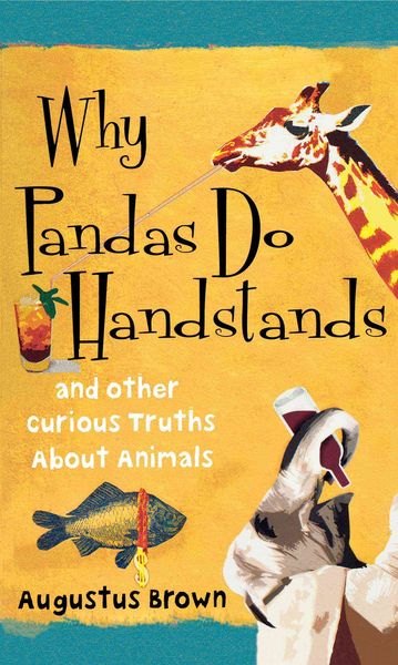 Produktbild: Why Pandas Do Handstands