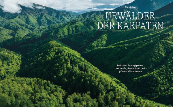 Produktbild: Wildes Europa