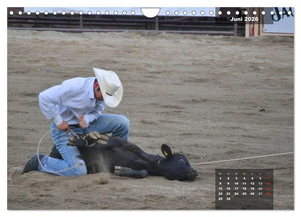Produktbild: Faszination Rodeo (Wandkalender 2026 DIN A4 quer), CALVENDO Monatskalender