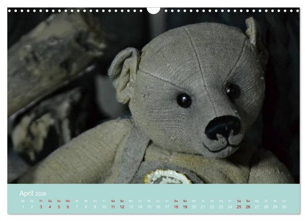 Produktbild: Robin der B&auml;r (Wandkalender 2026 DIN A3 quer), CALVENDO Monatskalender