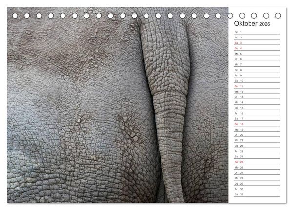 Produktbild: Emotionale Momente: Nash&ouml;rner (Tischkalender 2026 DIN A5 quer), CALVENDO Monatskalender