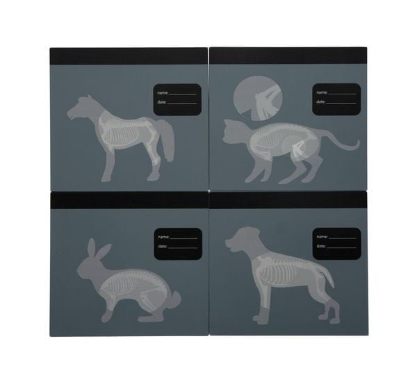 Produktbild: Tierarzt-Tasche mit Hase