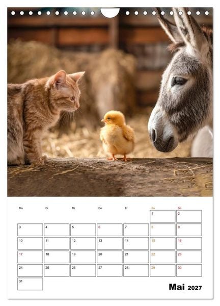 Produktbild: Ein Herz und eine Schnauze - Ein tierisch buntes Miteinander (Wandkalender 2027 DIN A4 hoch), CALVENDO Monatskalender