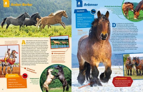 Produktbild: WAS IST WAS Pferde und Ponys