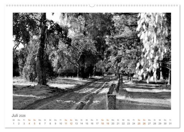 Produktbild: Quo Vadis? W&auml;lder und Wege in der R&ouml;hn, L&uuml;neburger Heide und der Mecklenburgischen Seenplatte (Wandkalender 2026 DIN A2 quer), CALVENDO Monatskalender