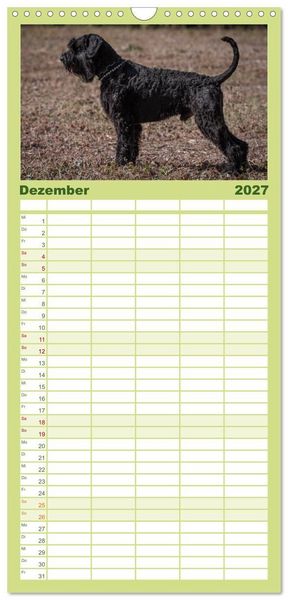 Produktbild: Familienplaner 2027 - Schnauzer... von Zwergen und Riesen 2027 mit 5 Spalten (Wandkalender, 21 x 45 cm) CALVENDO