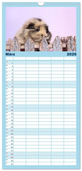 Produktbild: Familienplaner 2026 - Niedliche Meerschweinchen mit 5 Spalten (Wandkalender, 21 x 45 cm) CALVENDO