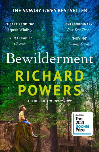 Book cover of Bewilderment