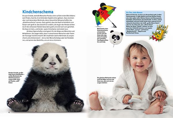 Produktbild: Entdecke die Pandas