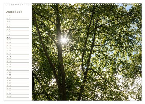 Produktbild: Der Sonne entgegen &ndash; Elbsandstein (Wandkalender 2026 DIN A2 quer), CALVENDO Monatskalender