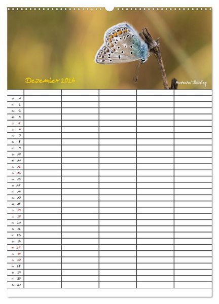 Produktbild: Schmetterlinge in Bayern (hochwertiger Premium Wandkalender 2026 DIN A2 hoch), Kunstdruck in Hochglanz