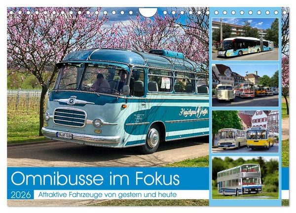 Omnibusse im Fokus (Wandkalender 2026 DIN A4 quer), CALVENDO Monatskalender