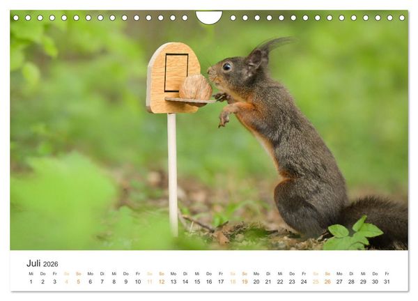 Produktbild: Geheimes Waldleben (Wandkalender 2026 DIN A4 quer), CALVENDO Monatskalender